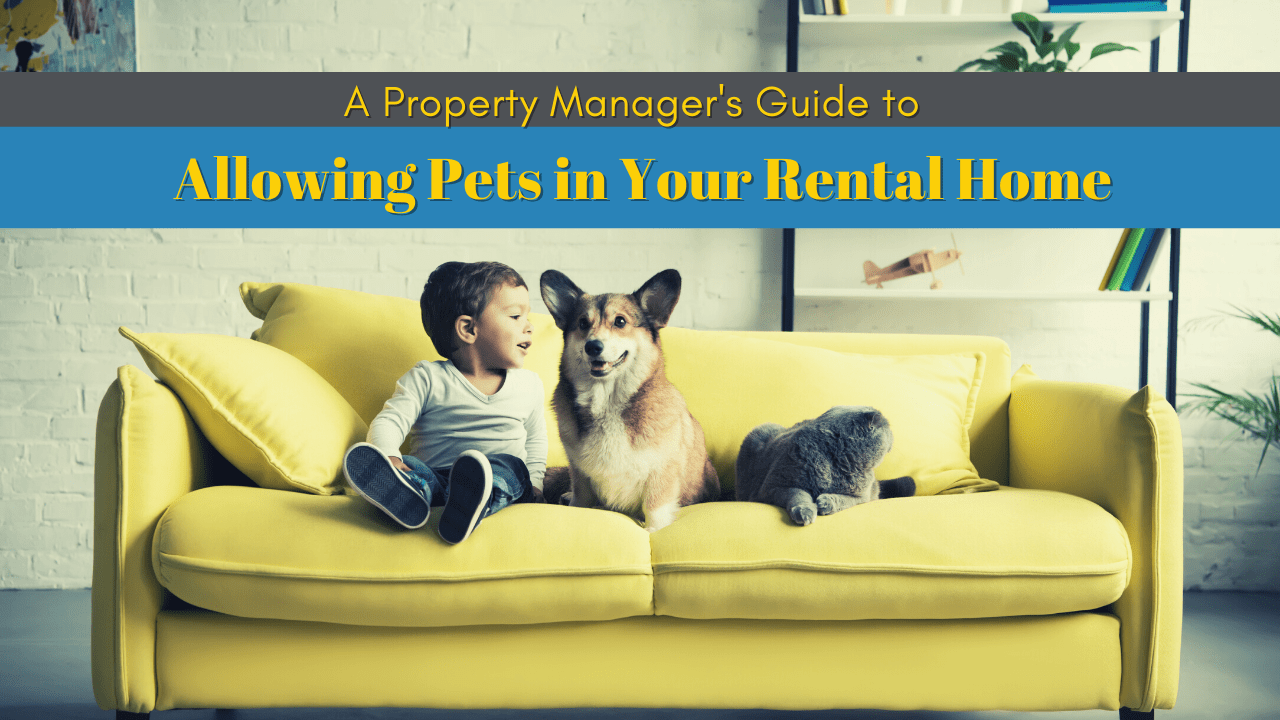 A Killeen Property Manager’s Guide to Allowing Pets in Your Rental Home