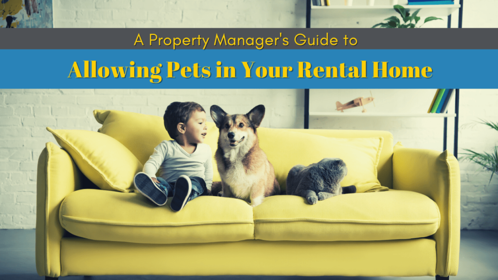 A Killeen Property Manager's Guide to Allowing Pets in Your Rental Home - Article Banner
